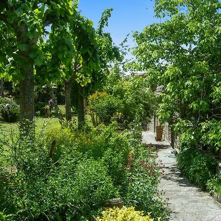 Holiday Via Porta Montanina Cortona